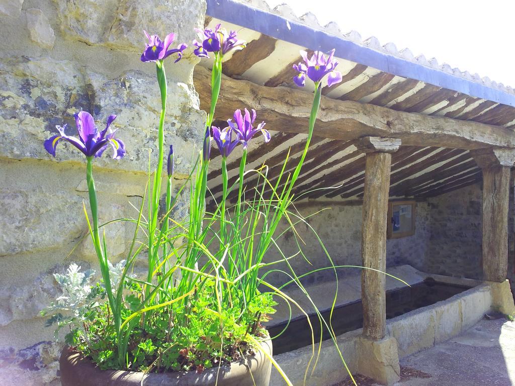 Muneta Casa Rural Basaula المظهر الخارجي الصورة